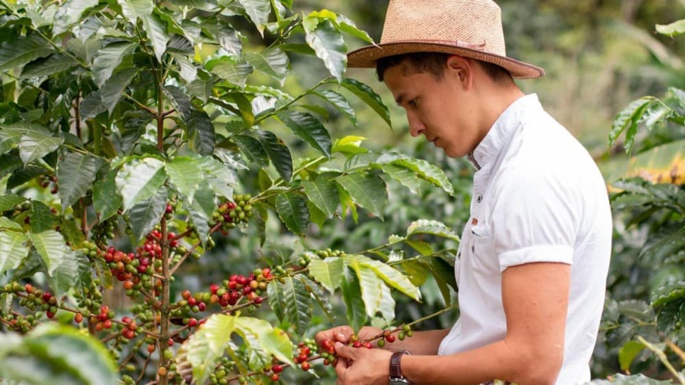 Best Day Trips from Arusha: Nature, Culture, and Adventure