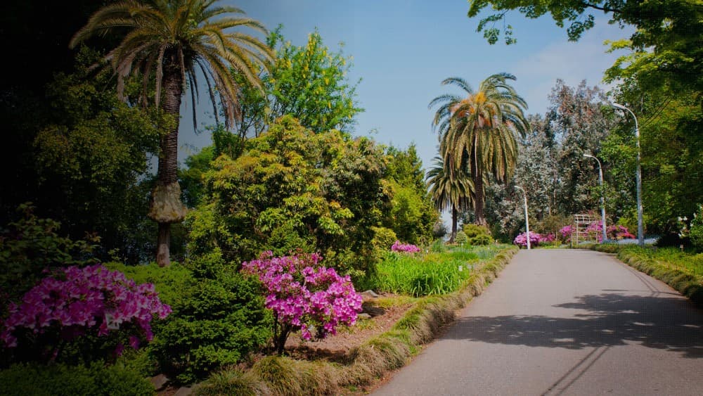 Top Things to Do in Batumi for First-Time Visitors