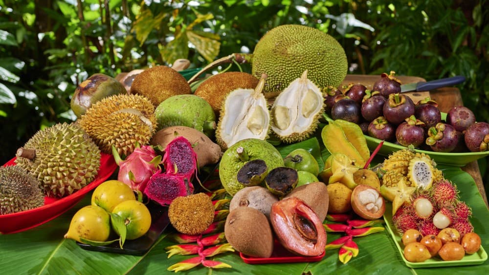 Savor Medellín: A Food Lover’s Ultimate Guide