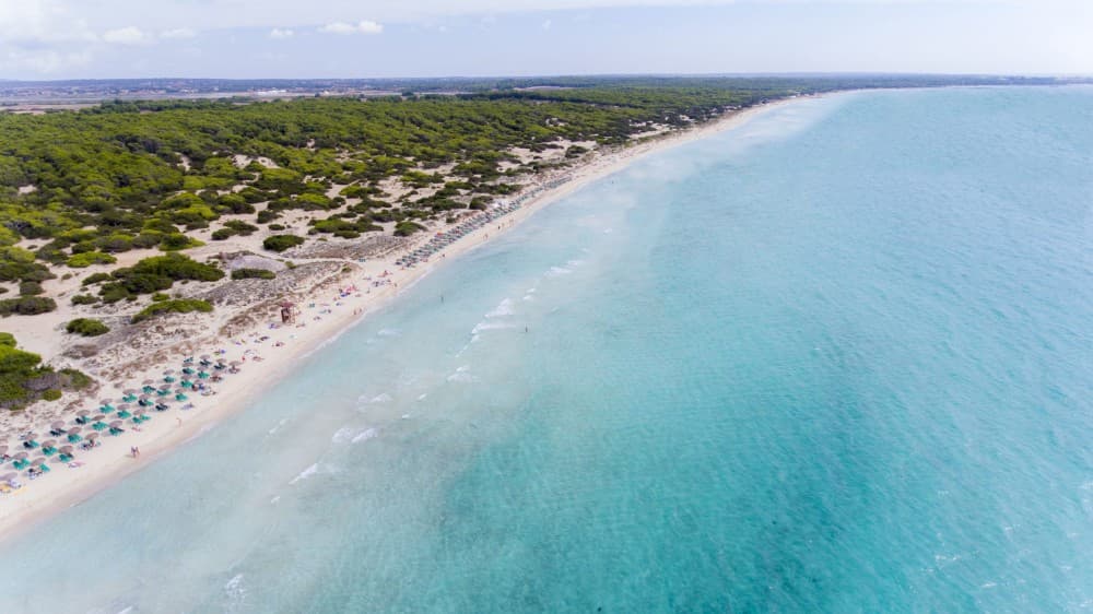 The Ultimate Beach Guide to Mallorca: Where to Sunbathe and Swim