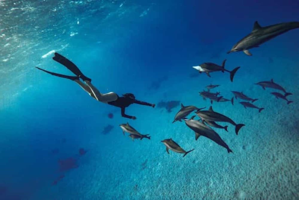 Tips for Travelers in Hurghada