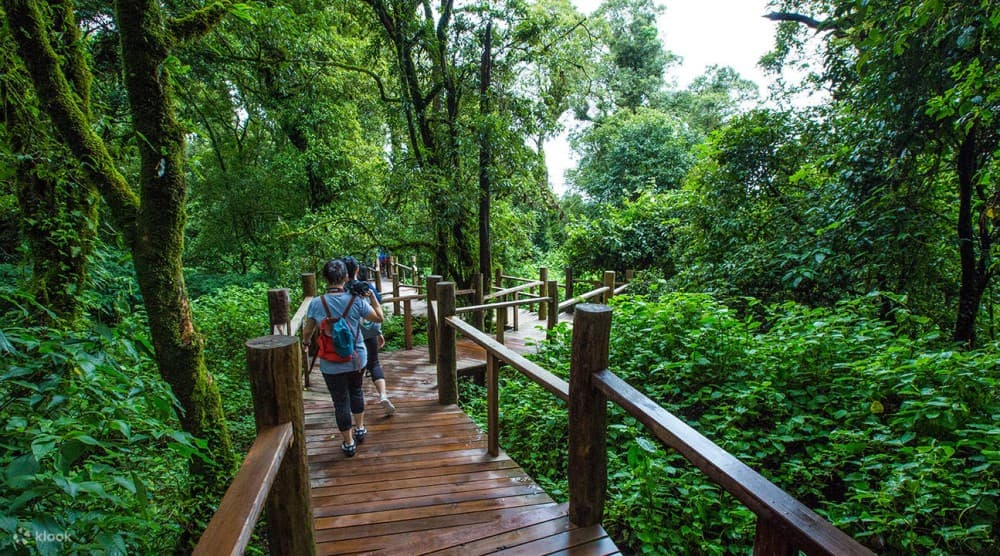 Beyond the City: Best Day Trips from Chiang Mai