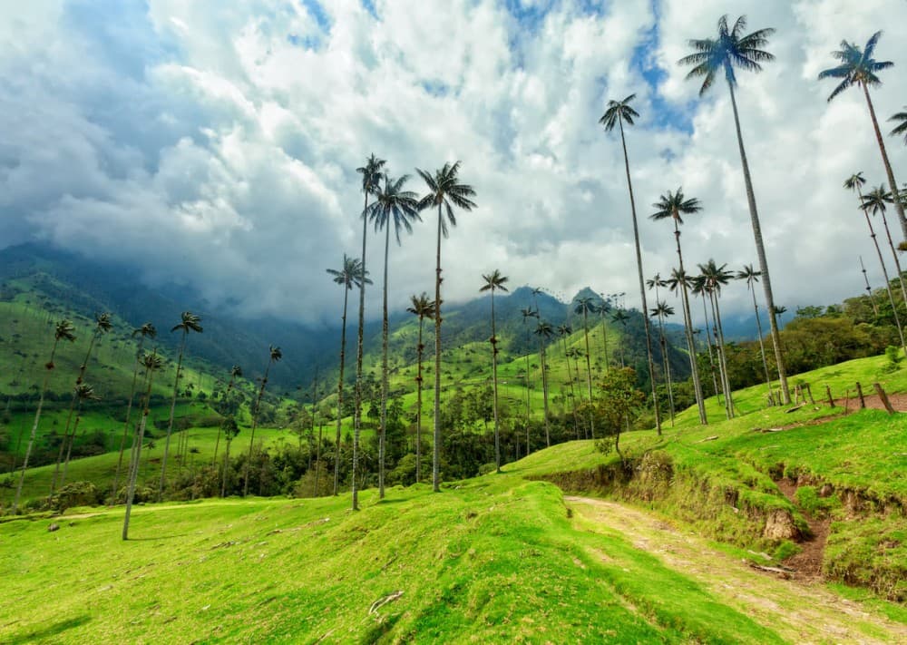 Day Trips from Pereira: Exciting Getaways in the Coffee Triangle