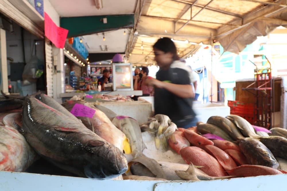 A Day in Mindelo: How to Make the Most of 24 Hours in the City