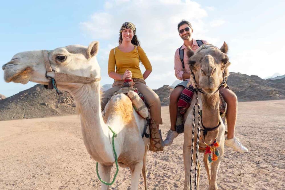 Family-Friendly Activities in Marsa Alam for All Ages