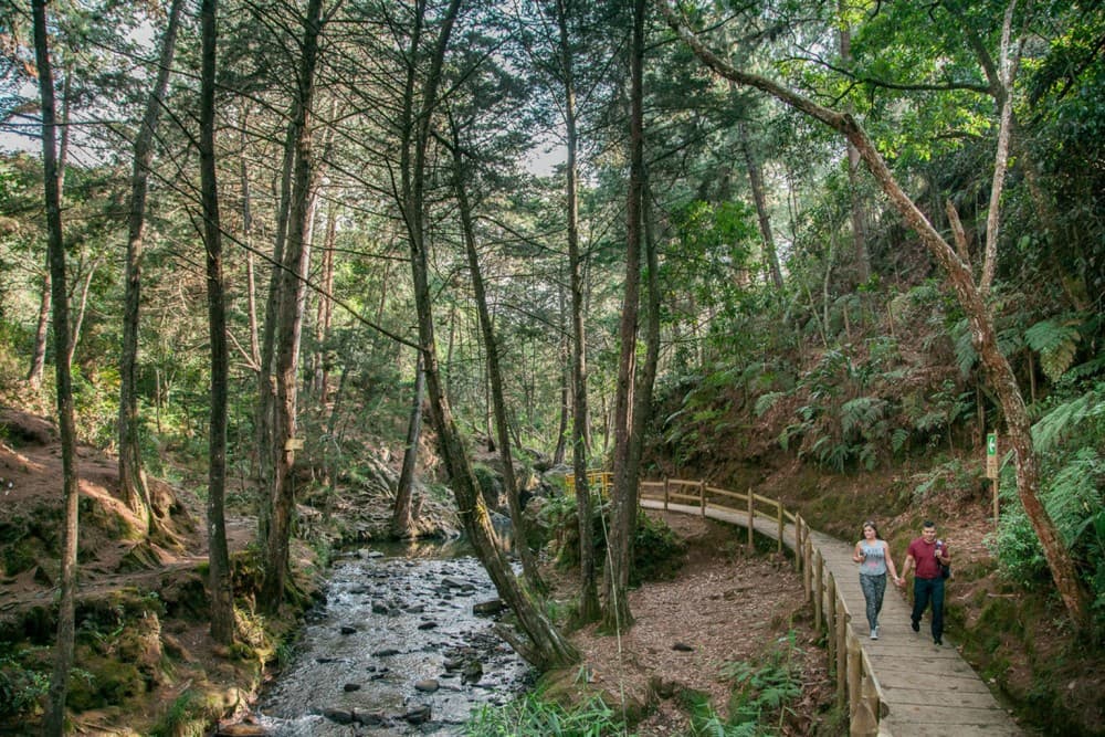 Medellín Beyond the Tourist Trail: Hidden Gems to Explore