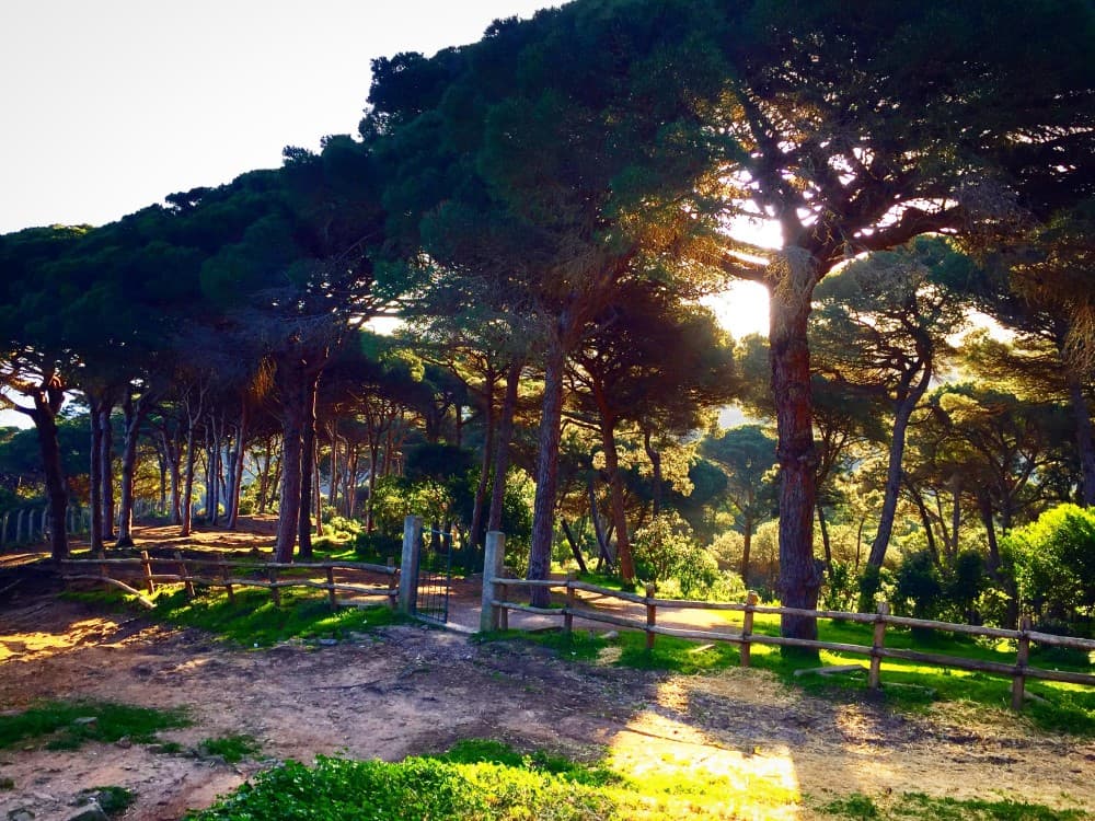 Uncovering the Hidden Gems of Tangier: Where to Go Beyond the Tourist Spots