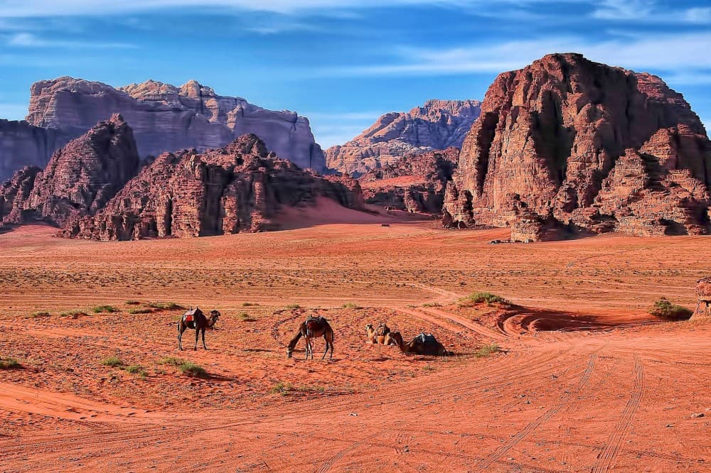 Wadi Rum: Essential Tips for First-Time Visitors