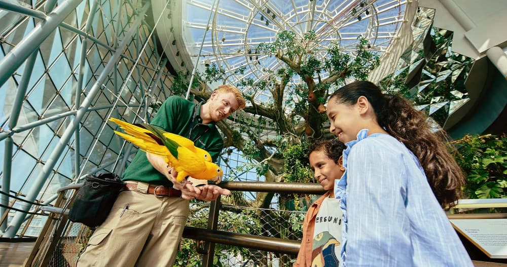 Dubai Indoors: Rainy Day Adventures You Can’t Miss