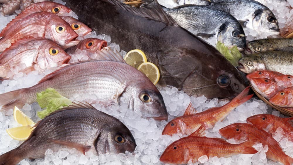 Where to Eat in Mindelo: A Food Lover’s Guide to Cape Verdean Cuisine