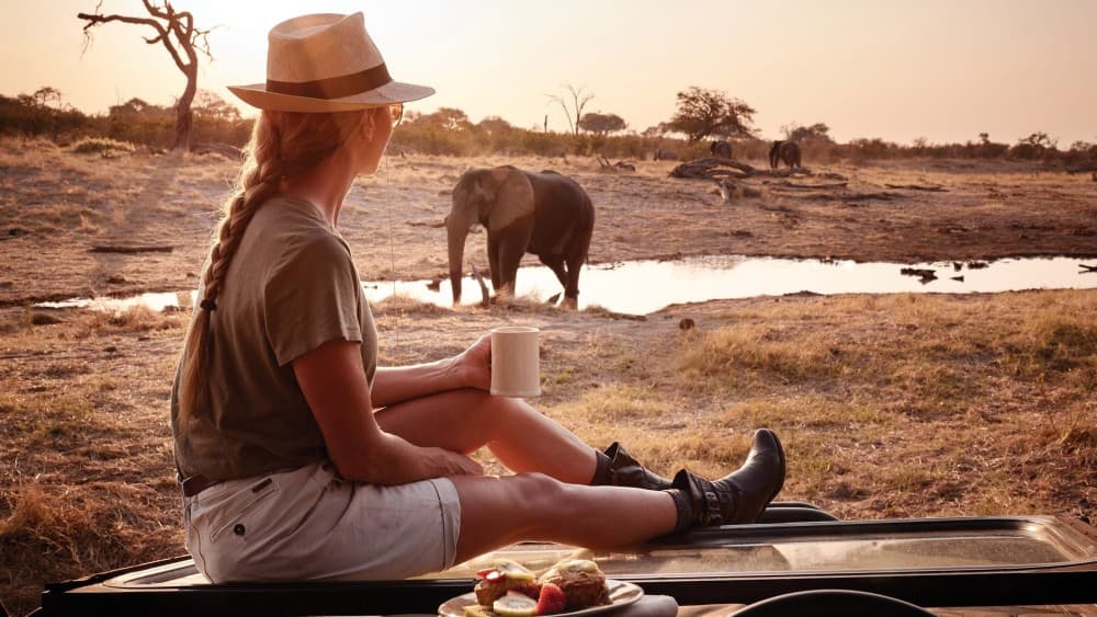 The Best Wildlife Safaris Around Kasane