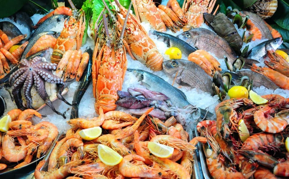 Kalkan’s Culinary Treasures: A Journey Through Local Flavors