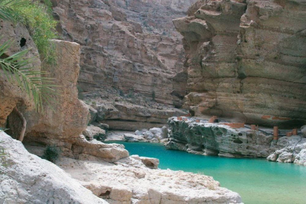 Exploring Salalah's Nature: Beaches, Mountains, and Waterfalls