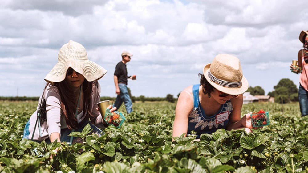 Top Things to Do in Rui Vaz: A Hidden Gem in Cape Verde