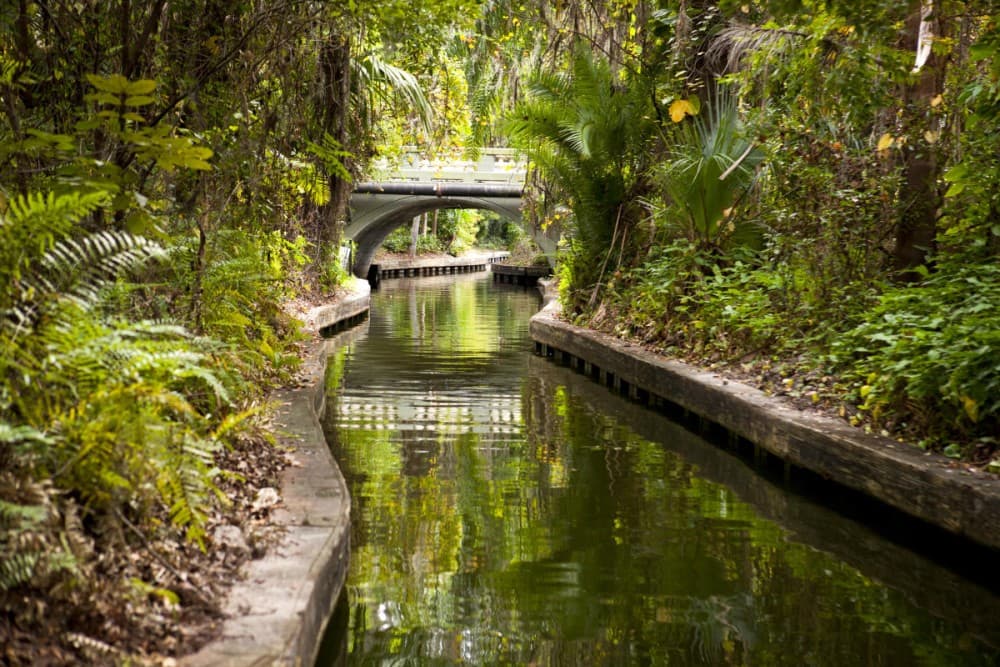 Beyond the Theme Parks: Unique Experiences in Orlando