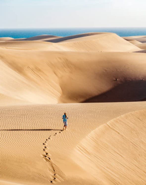 Abu Dhabi: A Thrilling Desert Adventure Awaits