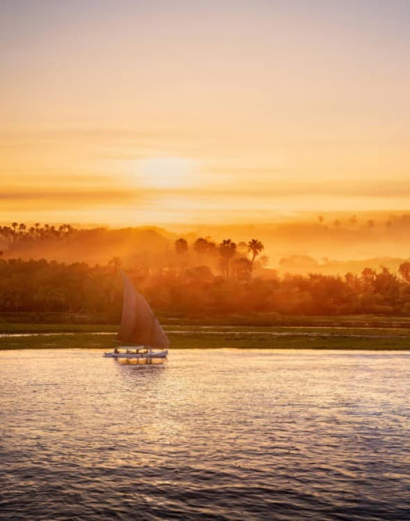 Discover Abu Dhabi: A Modern Oasis with Ancient Wonders