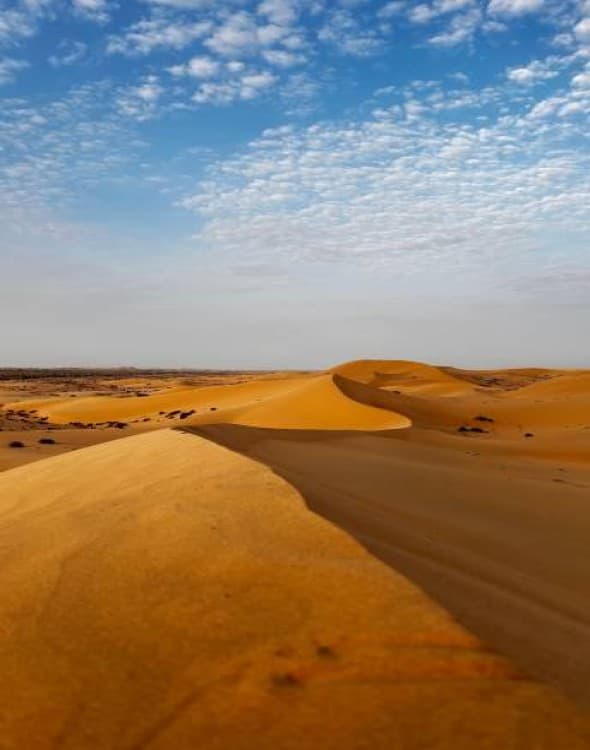 Abu Dhabi: Explore the Heart of the UAE