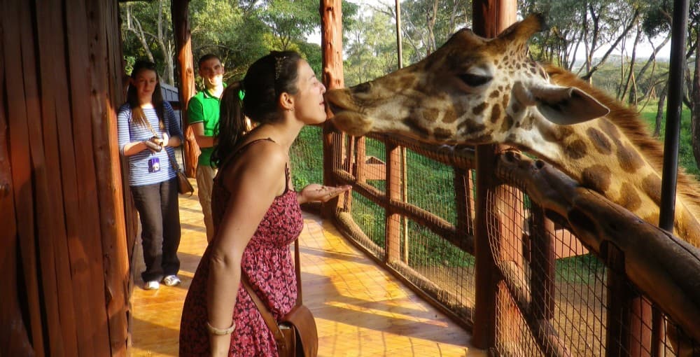 Top 10 Must-See Attractions in Nairobi for First-Time Visitors