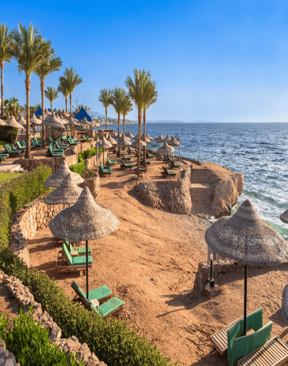 Experience Sharm El Sheikh: Tours That Combine Fun and Culture