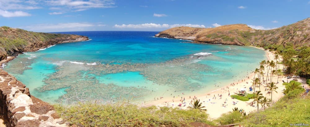 Top Things to Do in Honolulu: Must-See Attractions and Hidden Gems