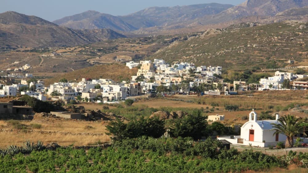 Batumi's Best Hidden Gems: Explore Beyond the Tourist Spots