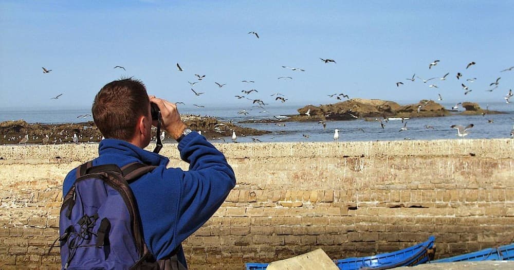 The Best Outdoor Adventures on Maio Island: Explore Nature’s Hidden Gem