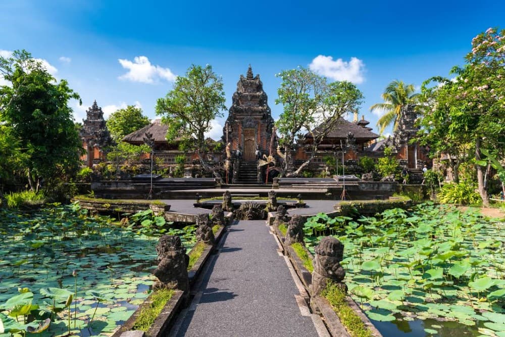 Top Must-Do Activities in Ubud for First-Timers