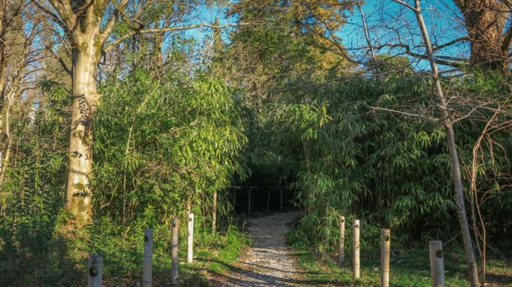 Exploring Kutaisi’s Nature: Parks, Caves, and Stunning Views