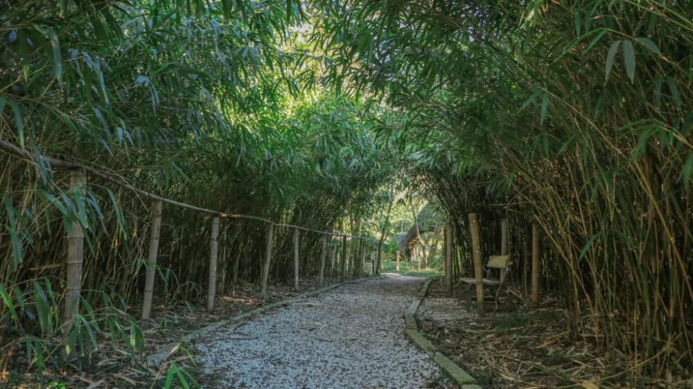 Exploring Kutaisi: A First-Timer’s Travel Itinerary