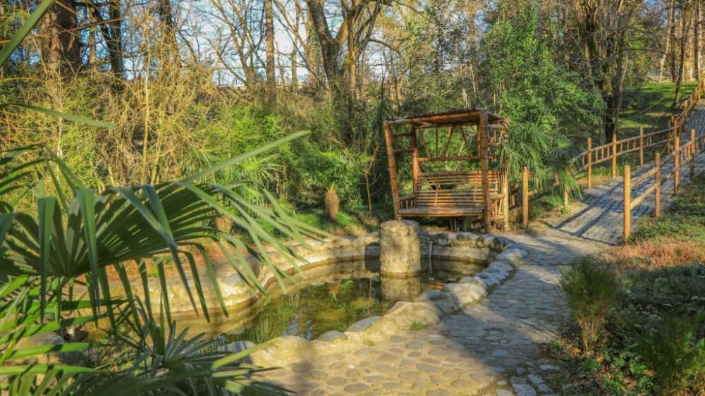 Top Things to Do in Kutaisi for First-Time Visitors