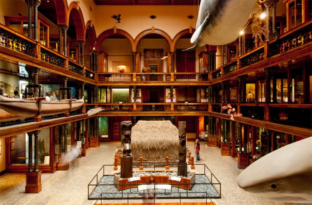 Cultural Honolulu: Museums, Historic Sites, and Local Traditions