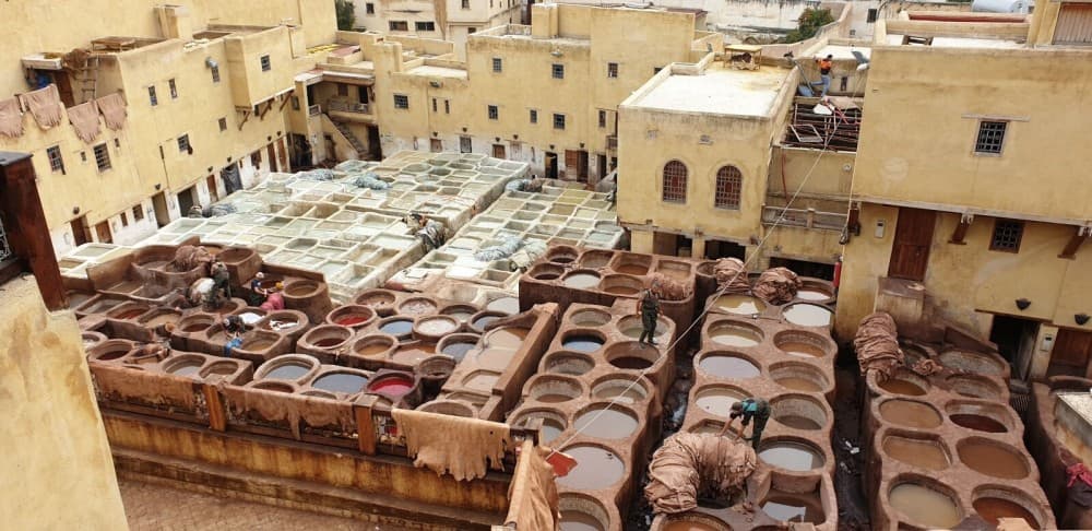 Top 10 Must-Do Experiences in Fez for First-Time Visitors