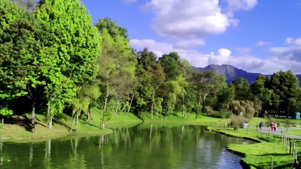 Hidden Gems of Bogotá: Discovering the City Beyond the Tourist Spots