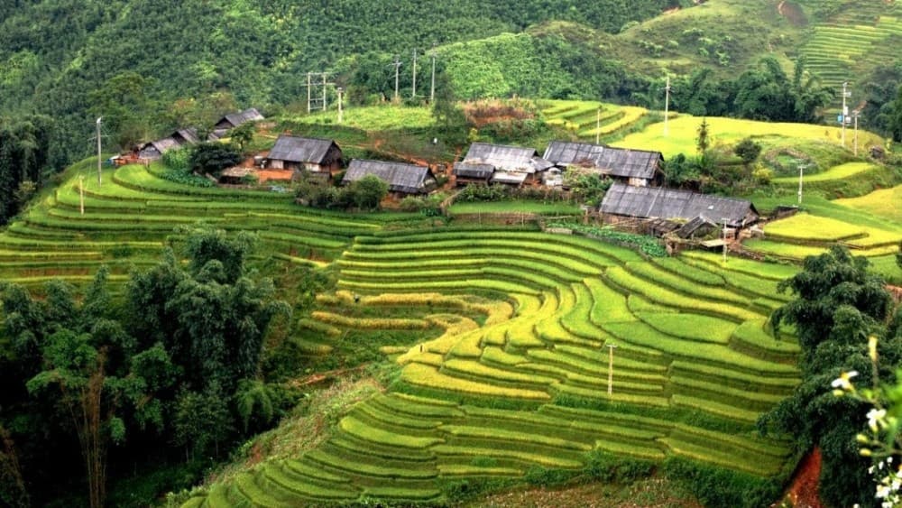 Highland Calling: Must-Do Mountain Escapes in Northern Vietnam