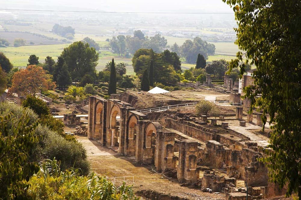 Top 10 Must-Do Experiences in Fez for First-Time Visitors