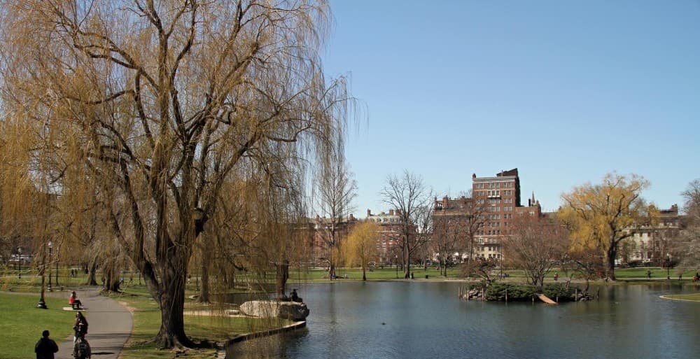 Top Things to Do in Boston: A First-Timer’s Guide