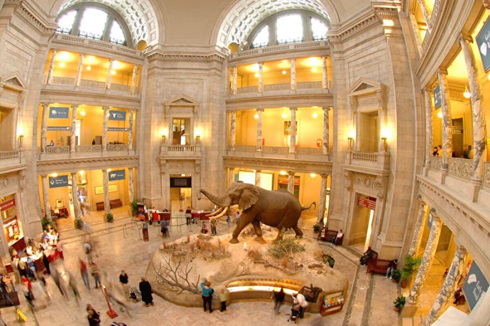 Washington DC for First-Timers: Must-See Attractions and Hidden Gems
