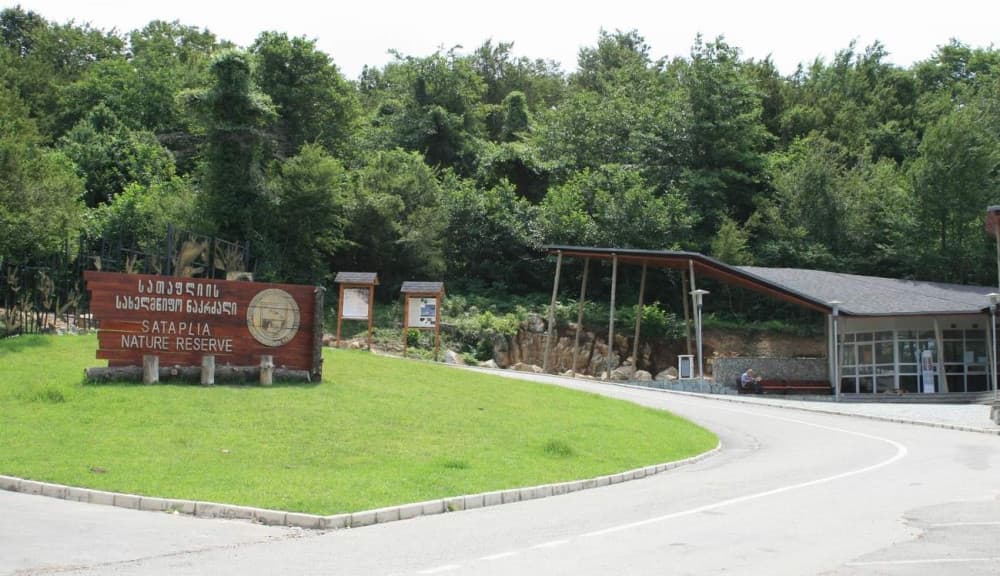 Exploring Kutaisi’s Nature: Parks, Caves, and Stunning Views