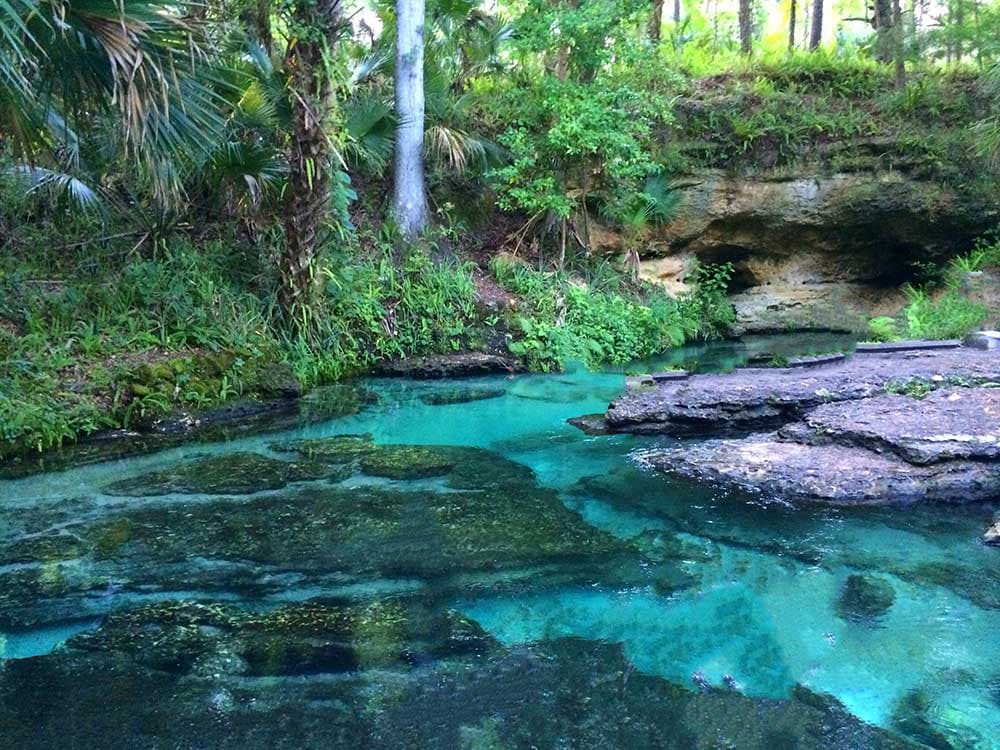 Outdoor Adventures in Orlando: Parks, Springs, and More