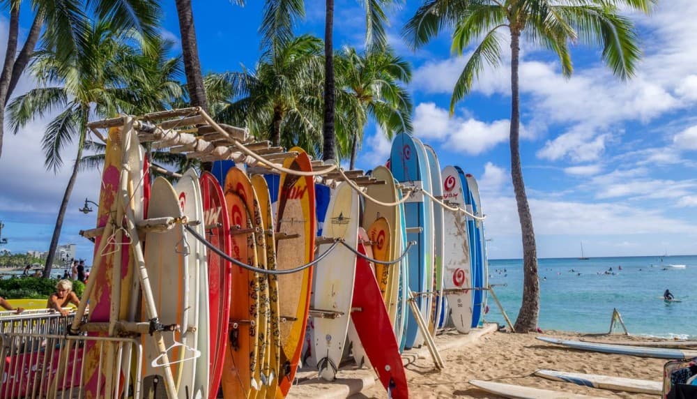 Outdoor Adventures in Honolulu: Beaches, Hikes, and More