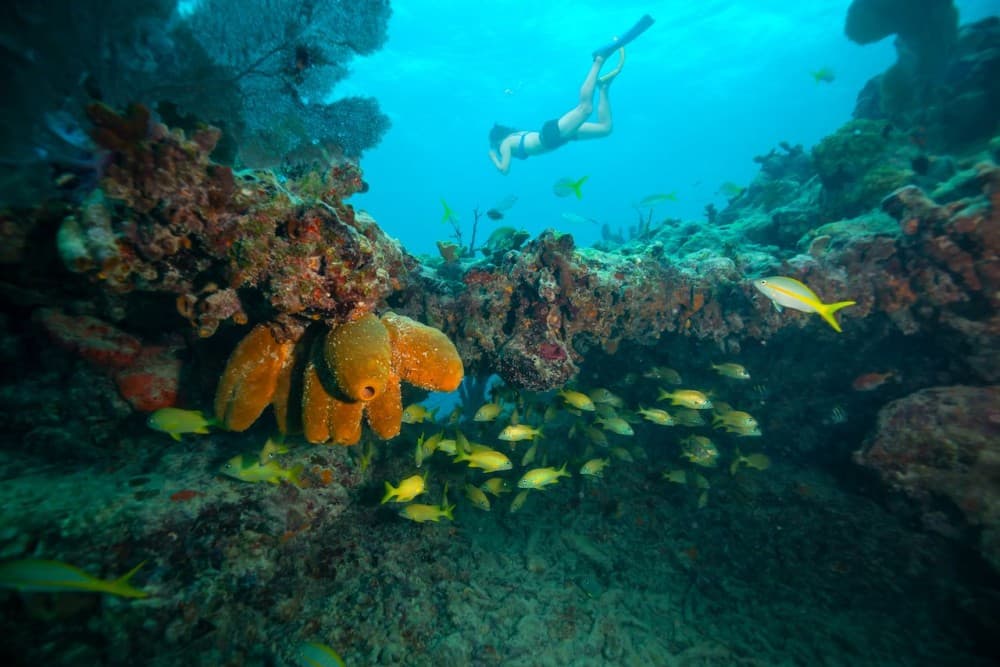 Explore Marsa Alam: Must-See Sights and Hidden Gems