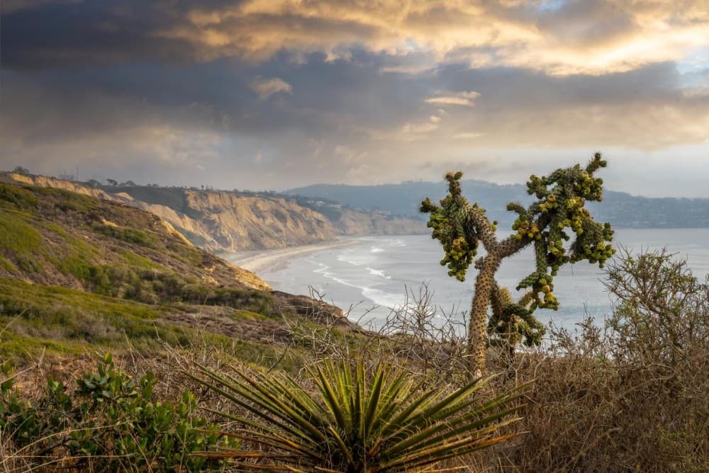 San Diego’s Great Outdoors: Beaches, Hikes, and Water Adventures
