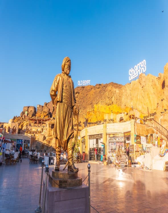 Explore Nature’s Wonders: Top Tours in Sharm el Sheikh