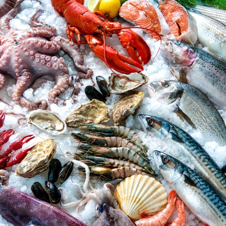 Didim’s Flavors: A Culinary Delight