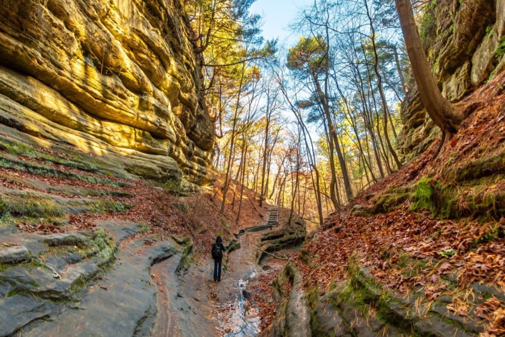 The Best Day Trips from Chicago: Escape the City for a Day