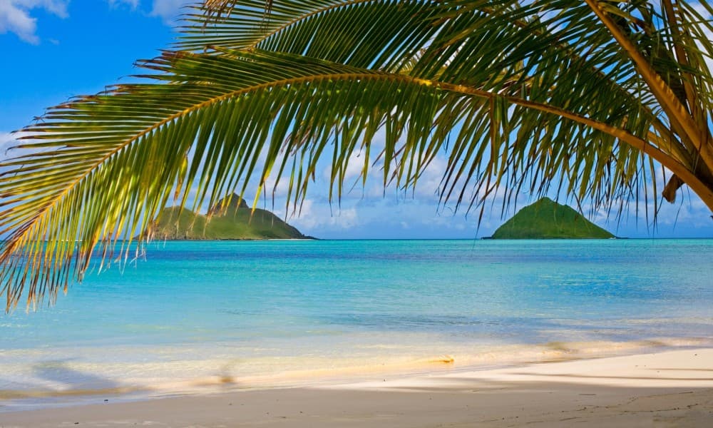 The Best Day Trips from Honolulu: Beyond the City’s Shores