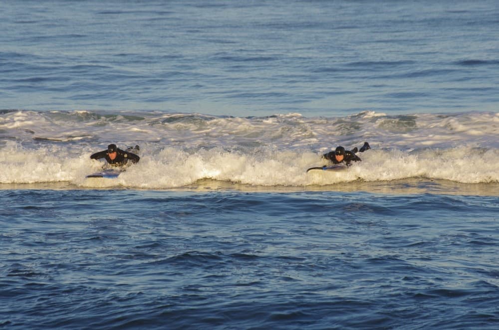 San Diego’s Great Outdoors: Beaches, Hikes, and Water Adventures