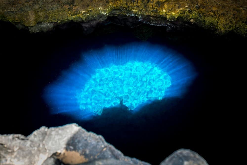 Top 10 Things to Do in Sal, Cape Verde: Must-See Attractions and Activities