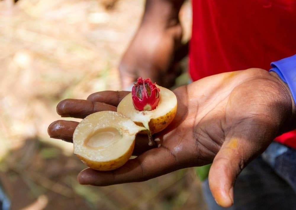 A Food Lover’s Guide to Zanzibar